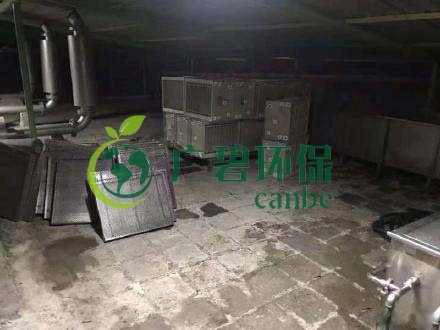 廣州旺旺食品廢水直排，永和河大量魚類死亡(圖3)