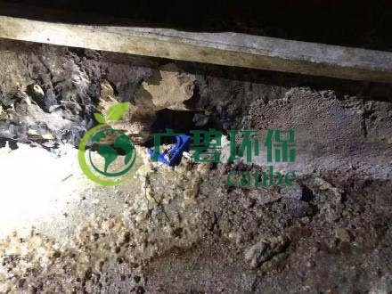 廣州旺旺食品廢水直排，永和河大量魚類死亡(圖4)
