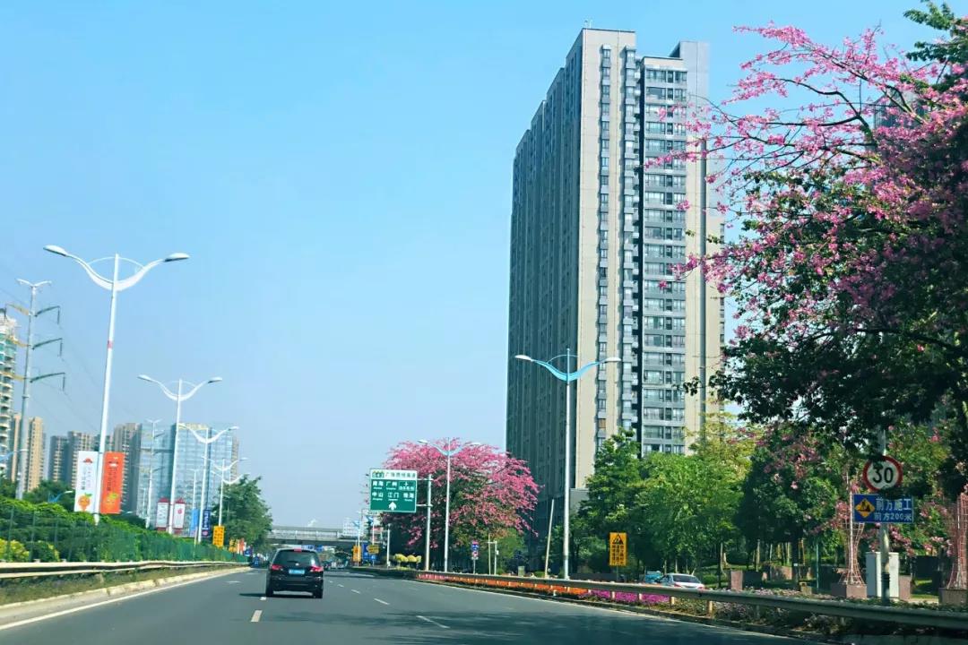 土壤環(huán)境調(diào)查與修復工作中存在的主要問題