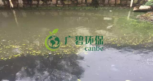 佛山南海黑臭河道生物治理案例(圖1)