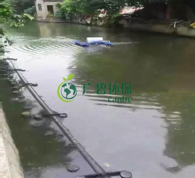 佛山南海黑臭河道生物治理案例(圖4)